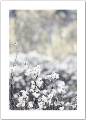 Autumn Meadow | Poster