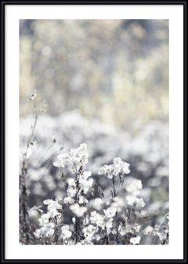 Autumn Meadow | Poster