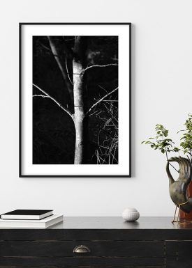 Baum im Mondlicht | Poster